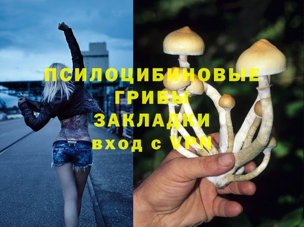 молекула духа Абинск
