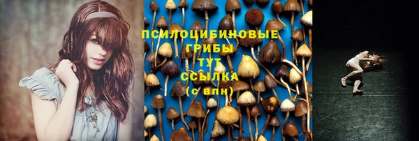 молекула духа Абинск
