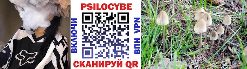 даркнет сайт  Когалым  Галлюциногенные грибы MAGIC MUSHROOMS 